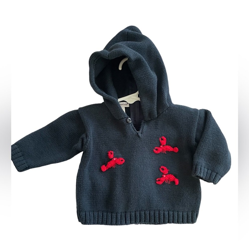 Lobsters!🦞 Purple Mountain- like new unisex 0-3 month old baby hooded sweater-